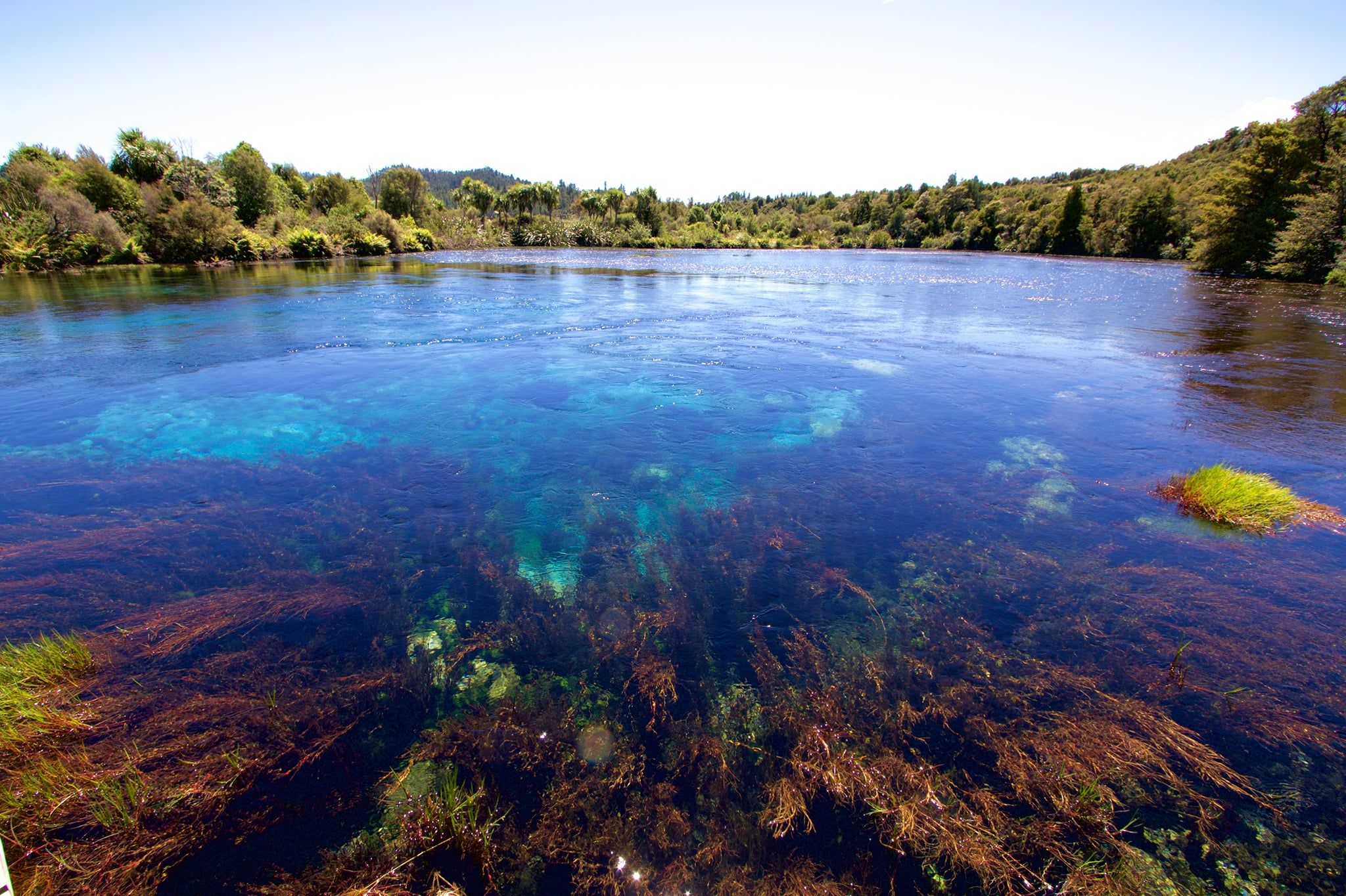 The pristine waters of Te Waikoropupū