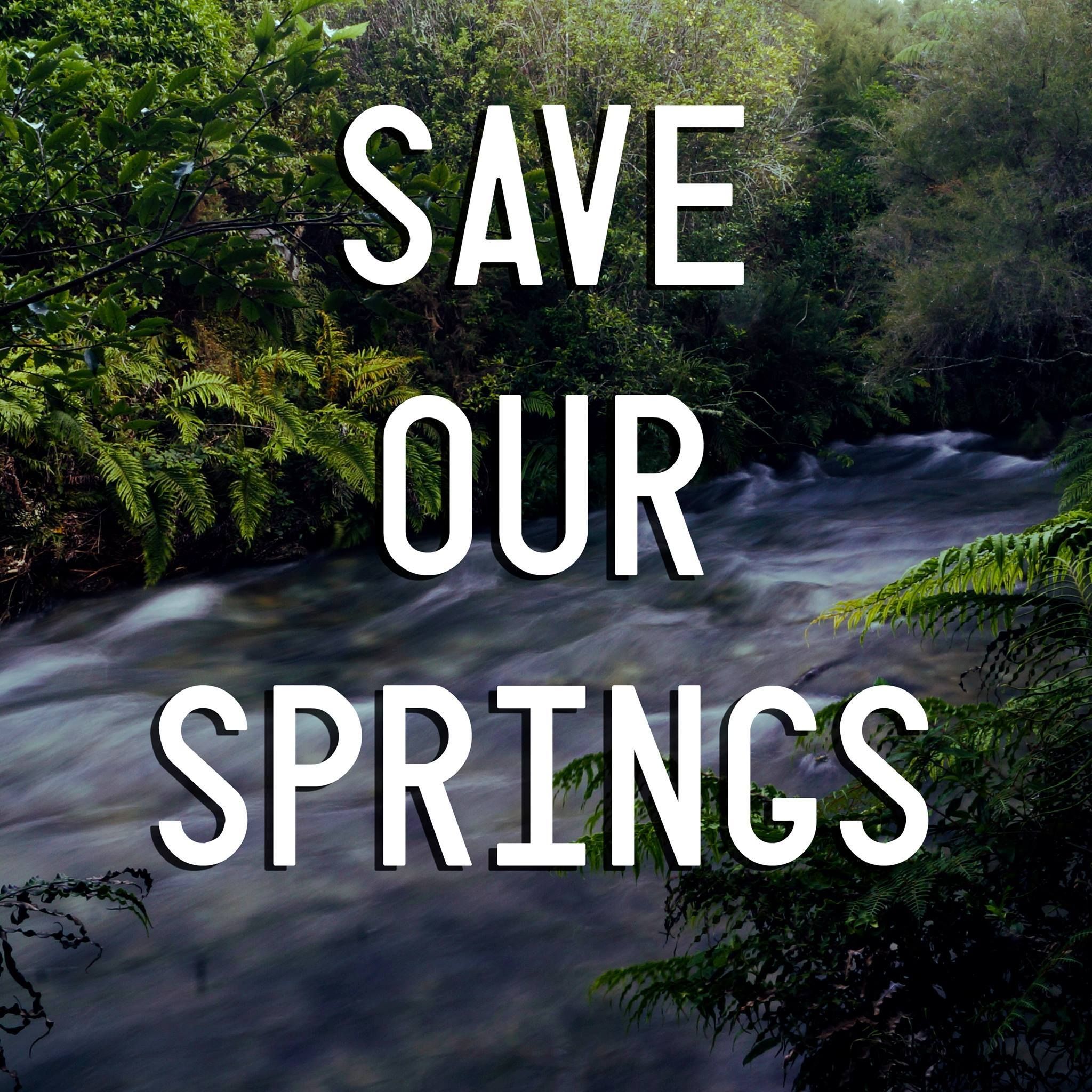 the text 'save our springs' overlaid on a beautiful image of a small awa in native bush