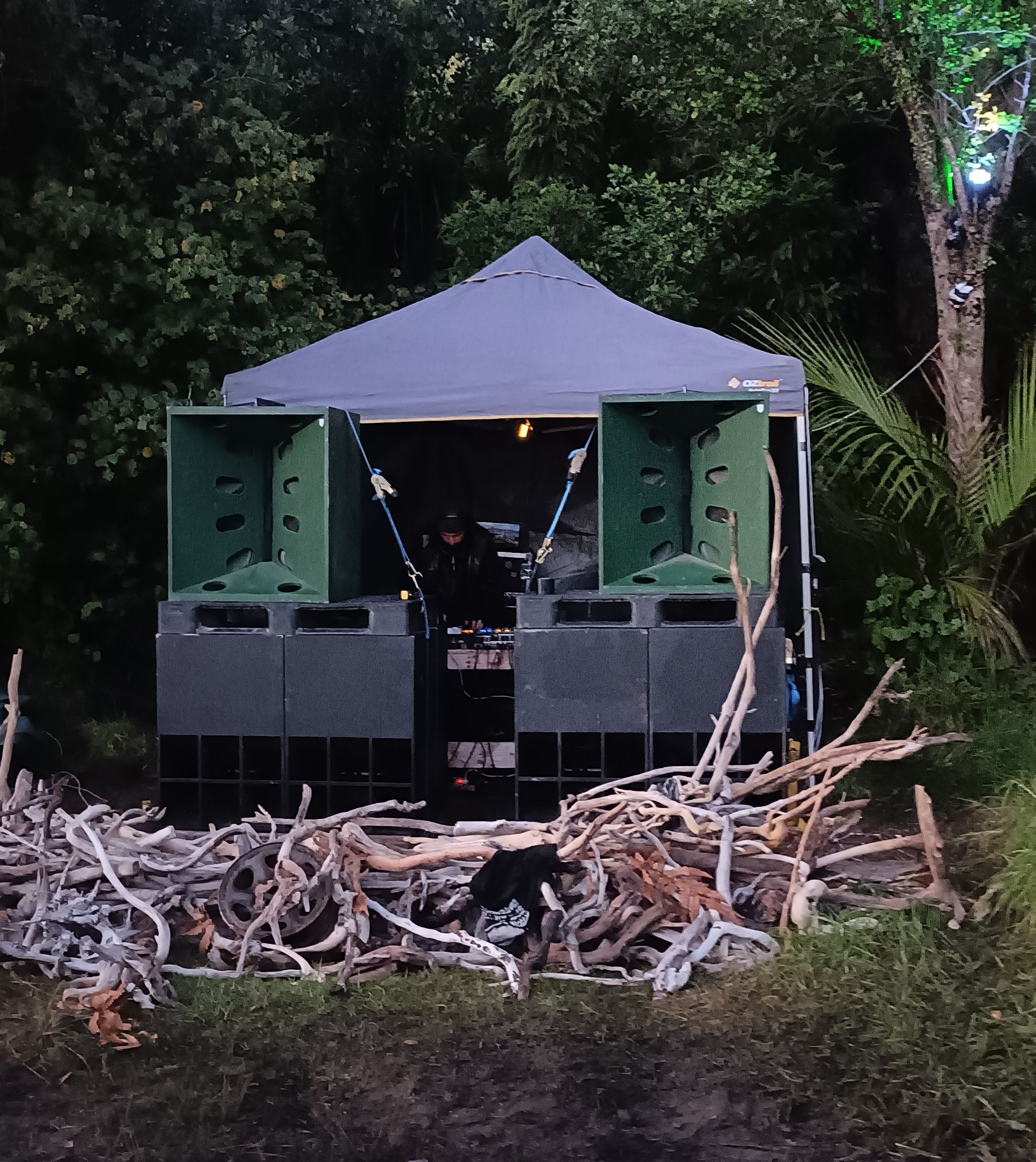 The stacks outdoors, with driftwood stacked in front to create the base of the stage and native bush behind